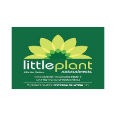 little_plant