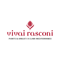 RASCONI VIVAI