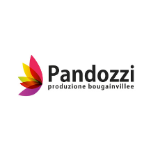 PANDOZZI