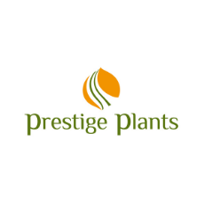 PRESTIGE PLANTS