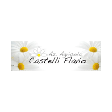 CASTELLI FLAVIO