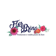 FLOR BRINA