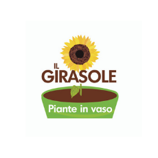 IL GIRASOLE