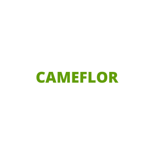 CAMEFLOR