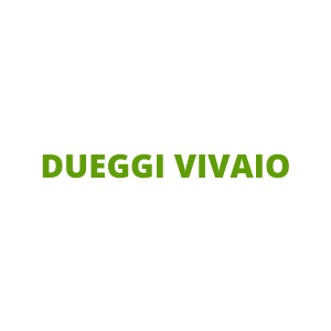 DUEGGI VIVAIO