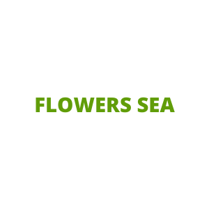 FLOWERS SEA