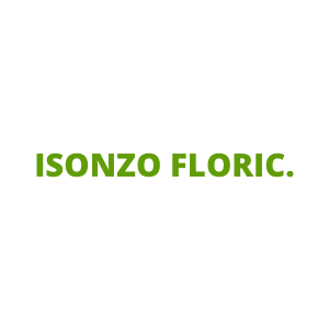 ISONZO FLORIC.