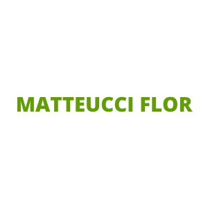 MATTEUCCI FLOR