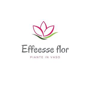 logo con fiore Effeesseflor