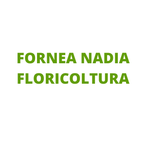 scritta verde su fondo bianco